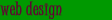 professional web design 